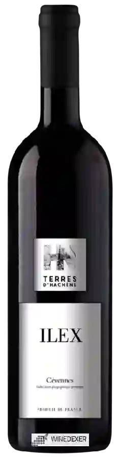 Domaine Terres d’Hachène - Ilex
