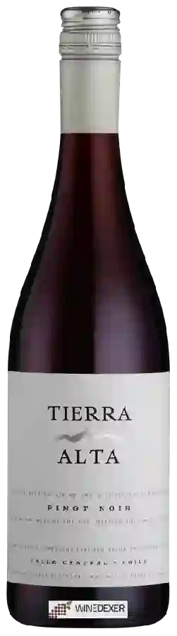 Winery Tierra Alta - Pinot Noir