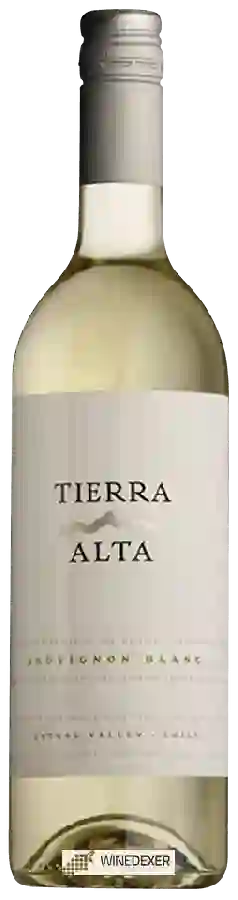 Winery Tierra Alta - Sauvignon Blanc