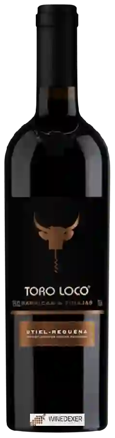 Winery Toro Loco - Barricas & Tinajas Winery Toro Loco - Barricas & Tinajas