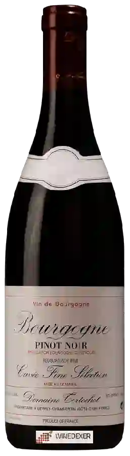 Domaine Tortochot - Cuvée Fine Sélection Bourgogne Pinot Noir Domaine Tortochot - Cuvée Fine Sélection Bourgogne Pinot Noir