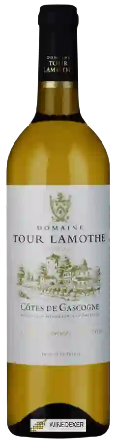 Domaine Tour Lamothe - Sauvignon Blanc