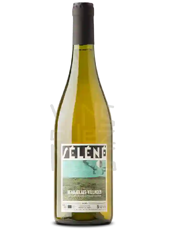 Domaine Valette - Beaujolais Blanc