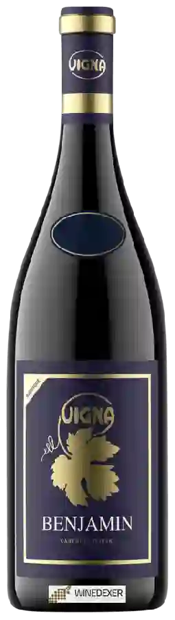 Winery Vigna - Benjamin Barrique