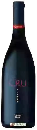 Winery Vineyard 29 - Cru Pinot Noir