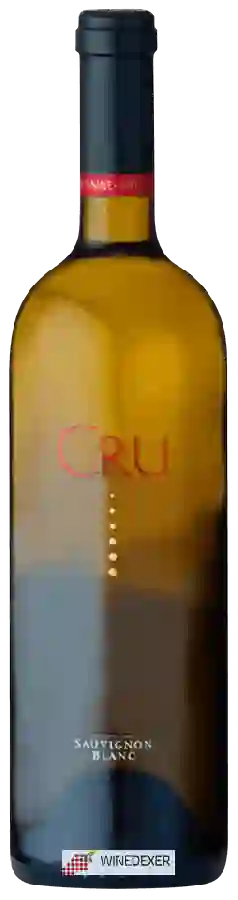 Winery Vineyard 29 - Cru Sauvignon Blanc