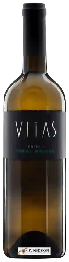 Winery Vitas 1907 - Pinot Grigio