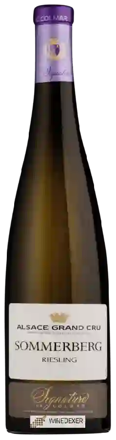 Domaine Viticole de la Ville de Colmar - Riesling Alsace Grand Cru 'Sommerberg'