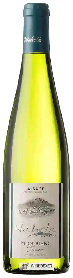Domaine Wehrle - Terrasse Pinot Blanc