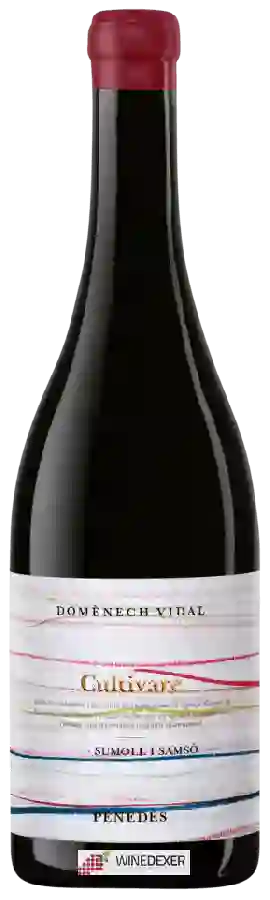 Winery Domènech.Vidal - Cultivare Sumoll - Samsó