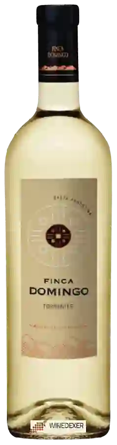 Winery Domingo Molina - Finca Domingo Torrontes