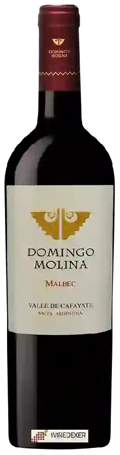 Winery Domingo Molina - Malbec