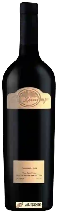 Winery Domingo Molina - Palo Domingo Tinto Winery Domingo Molina - Palo Domingo Tinto