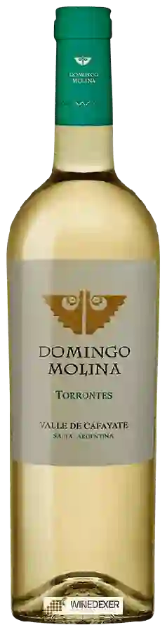 Winery Domingo Molina - Torrontés