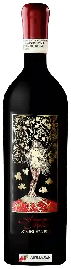 Winery Domini Veneti - Amarone della Valpolicella Classico Mater Winery Domini Veneti - Amarone della Valpolicella Classico Mater