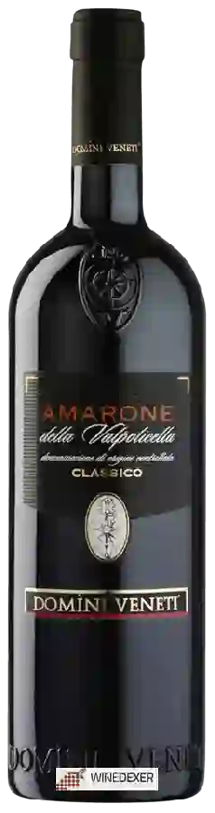 Winery Domini Veneti - Amarone della Valpolicella Classico Winery Domini Veneti - Amarone della Valpolicella Classico