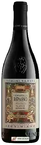 Winery Domini Veneti - Collezione Pruviniano Valpolicella Ripasso Classico Superiore