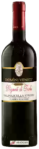Winery Domini Veneti - Vigneti di Torbe Valpolicella Ripasso Classico Superiore