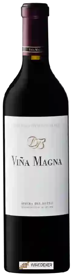 Winery Dominio Basconcillos - Viña Magna Crianza Tempranillo
