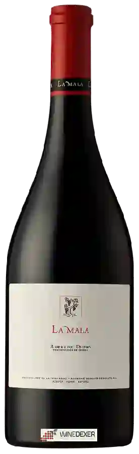 Winery Dominio de Atauta - La Mala Ribera del Duero