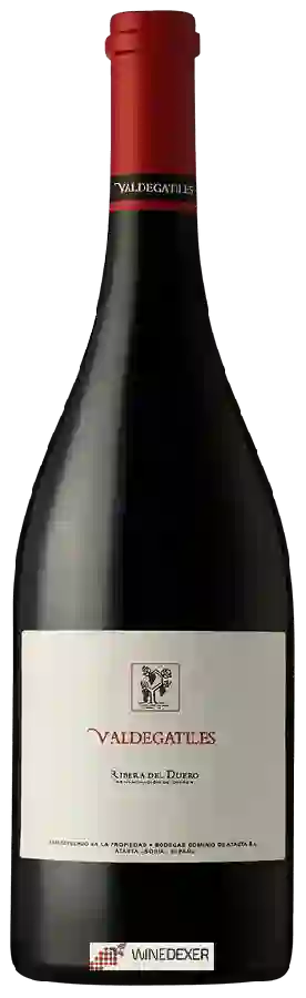 Winery Dominio de Atauta - Valdegatiles Ribera del Duero