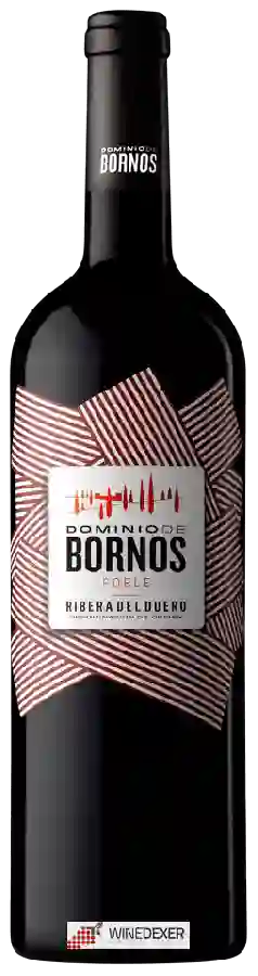 Winery Dominio de Bornos - Roble