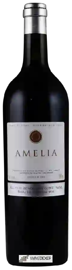 Winery Dominio de Pingus - Amelia Ribera Del Duero