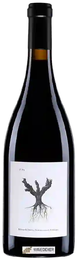 Winery Dominio de Pingus - PSI Winery Dominio de Pingus - PSI