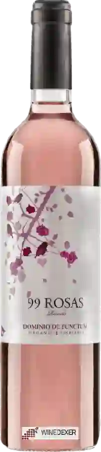 Winery Dominio de Punctum - 99 Rosas Rosado Winery Dominio de Punctum - 99 Rosas Rosado
