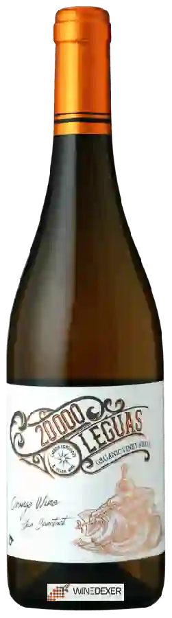 Winery Dominio de Punctum - 20000 Leguas White