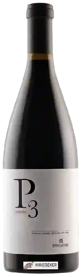 Winery Dominio de Tares - P3 Mencía