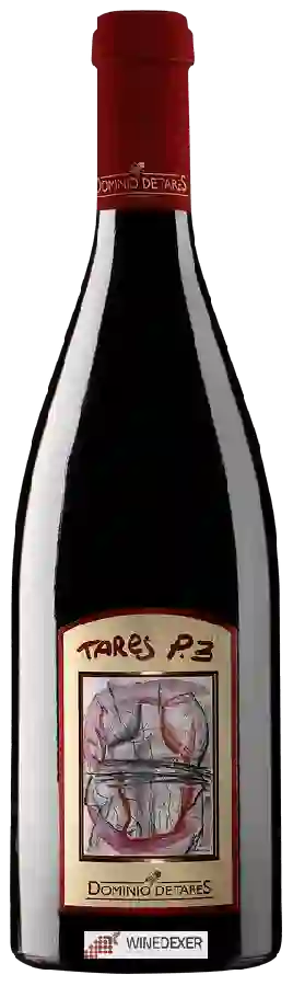 Winery Dominio de Tares - Tares P.3