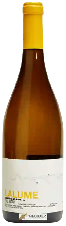Winery Dominio do Bibei - Lalume