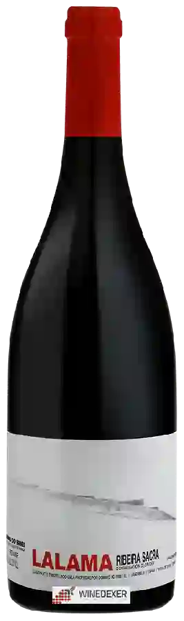 Winery Dominio do Bibei - Ribeira Sacra Lalama