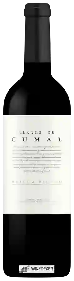 Winery Dominio Dostares - Llanos de Cumal Prieto Picudo