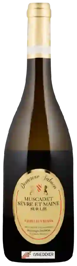 Winery Dominique Salmon - Vieilles Vignes Muscadet Sèvre Et Maine Sur Lie