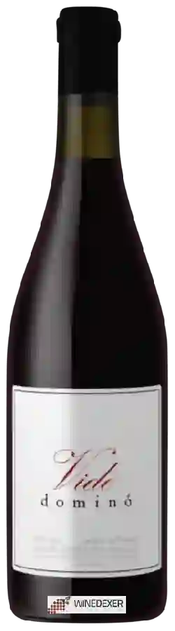 Winery Vitor Claro - Vide Dominó Winery Vitor Claro - Vide Dominó