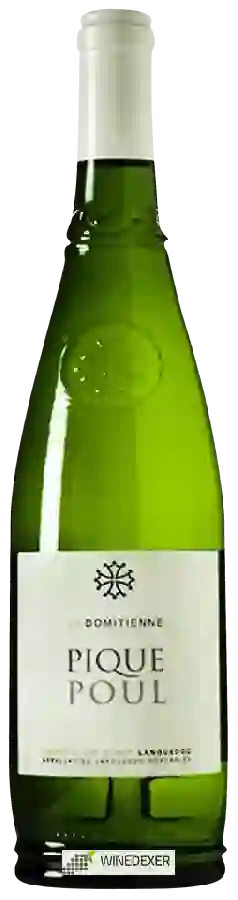 Winery La Domitienne - Pique Poul Picpoul de Pinet Winery La Domitienne - Pique Poul Picpoul de Pinet