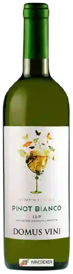Winery Domus Vini - Pinot Bianco