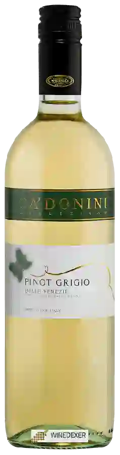 Winery Ca' Donini - Pinot Grigio