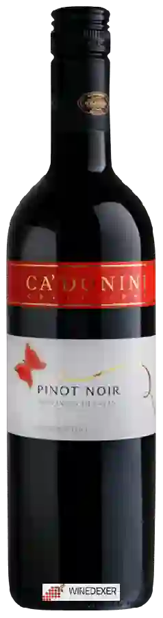 Winery Ca' Donini - Pinot Noir Provinca di Pavia Winery Ca' Donini - Pinot Noir Provinca di Pavia