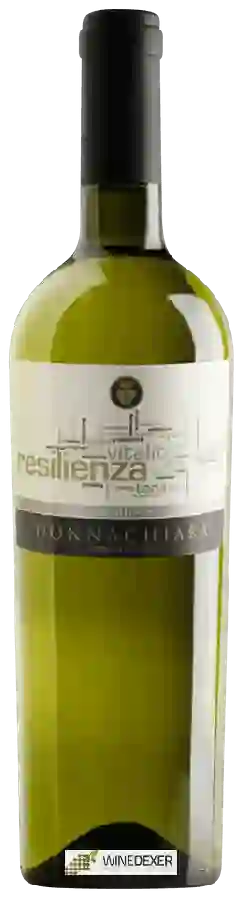 Winery Donnachiara - Resilienza