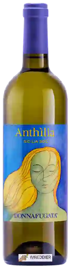 Winery Donnafugata - Anth&igravelia