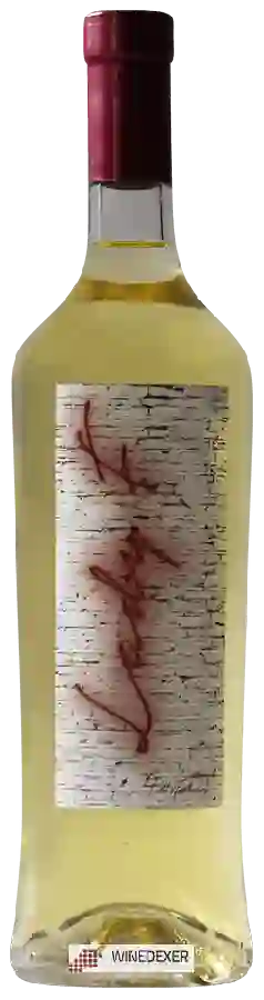 Winery Donne Fittipaldi - Lady F Winery Donne Fittipaldi - Lady F