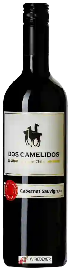Winery Dos Camelidos - Cabernet Sauvignon