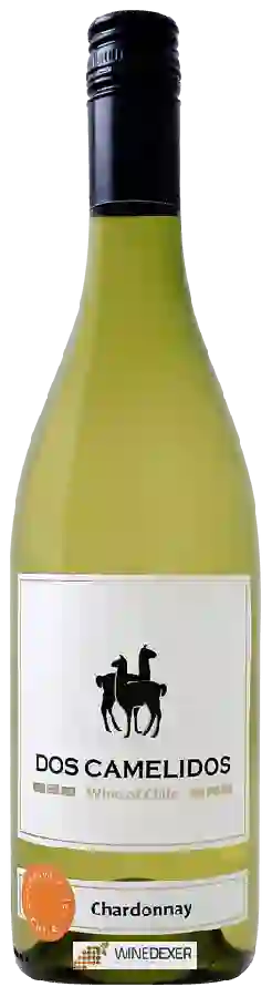 Winery Dos Camelidos - Chardonnay