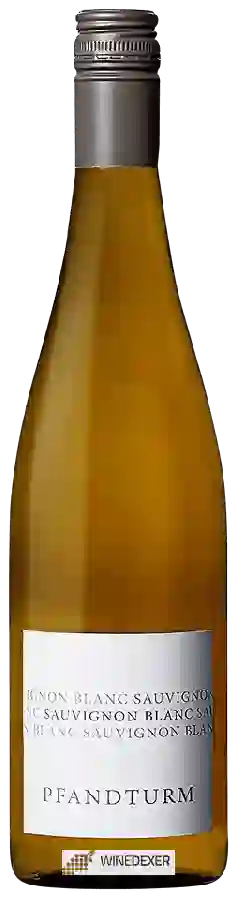 Winery Dr. Koehler - Pfandturm Sauvignon Blanc Winery Dr. Koehler - Pfandturm Sauvignon Blanc