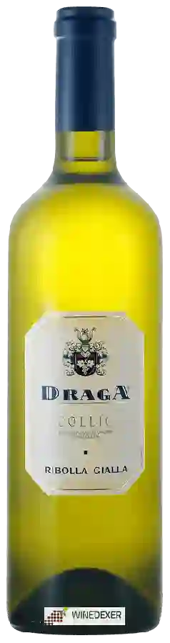Winery Draga - Ribolla Gialla
