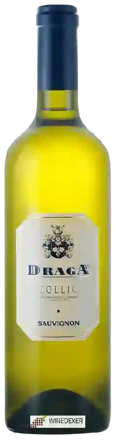 Winery Draga - Sauvignon