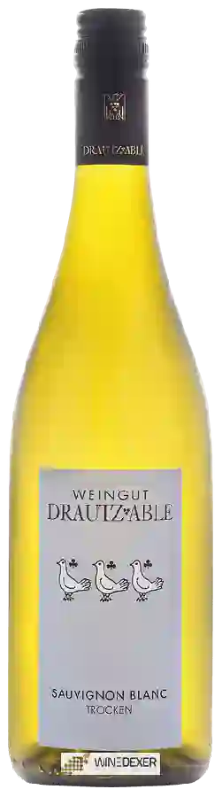 Winery Drautz Able - Sauvignon Blanc Trocken